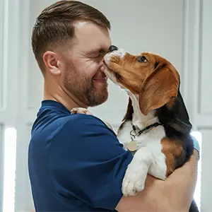 Hund auf den Armen leckt einen Menschen im Gesicht