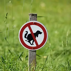 Schild: Hundehaufen verbot