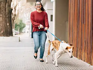 Hundesitterin mit Hund beim Spaziergang