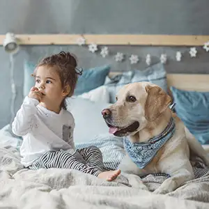 Kleines Mädchen sitzt mit dem Hund im Bett