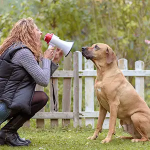 eine Frau hockt vor ihrem Hund mit einem Megafon