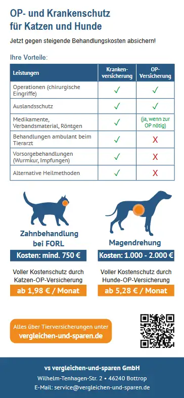 Tierversicherungsflyer