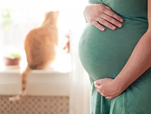 Schwangere Frau und ihre Katze